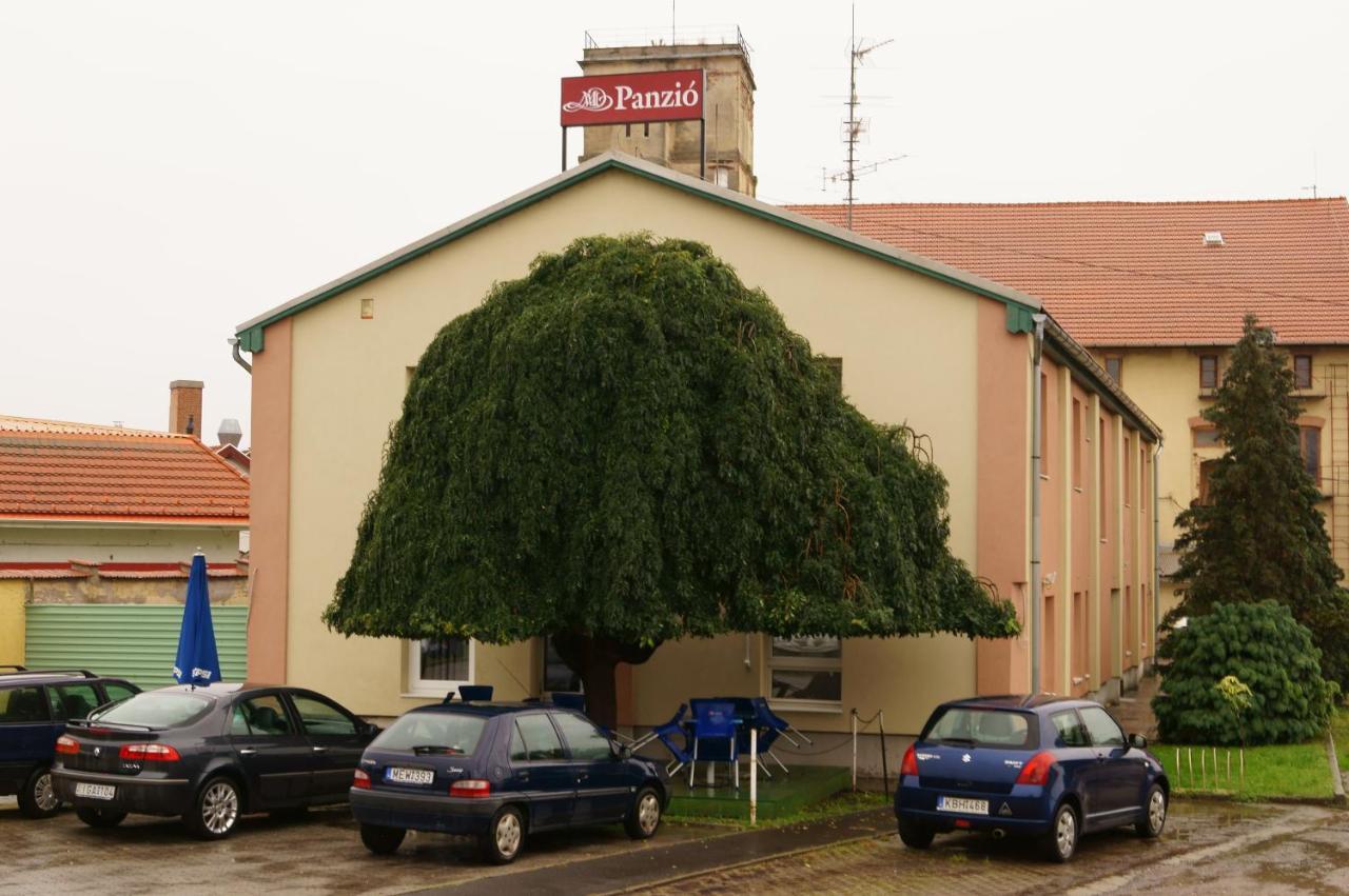 Malomudvar Etterem Cukraszda Panzio Es Rendezvenyhaz Gyöngyös Eksteriør billede